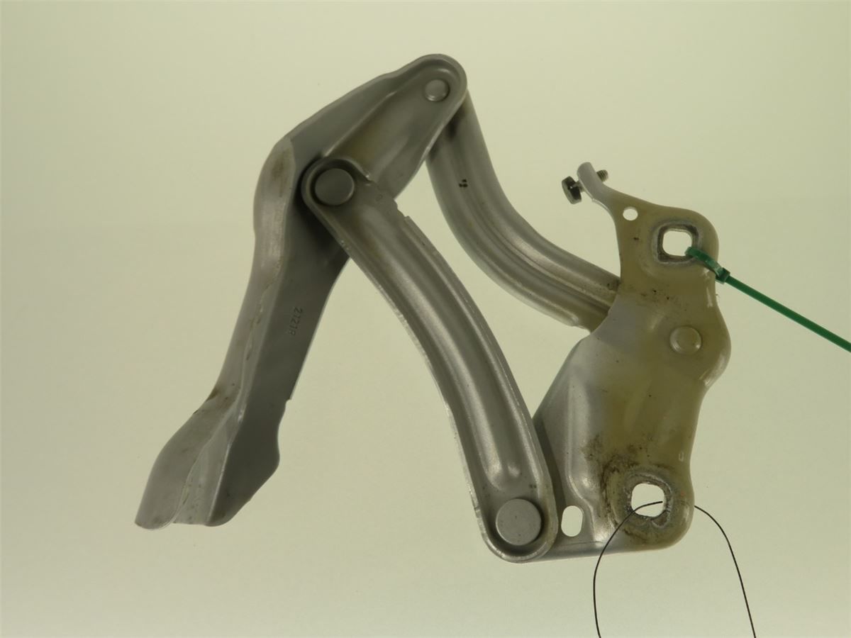 Panser Hengsel / Hengsler – bilde 3