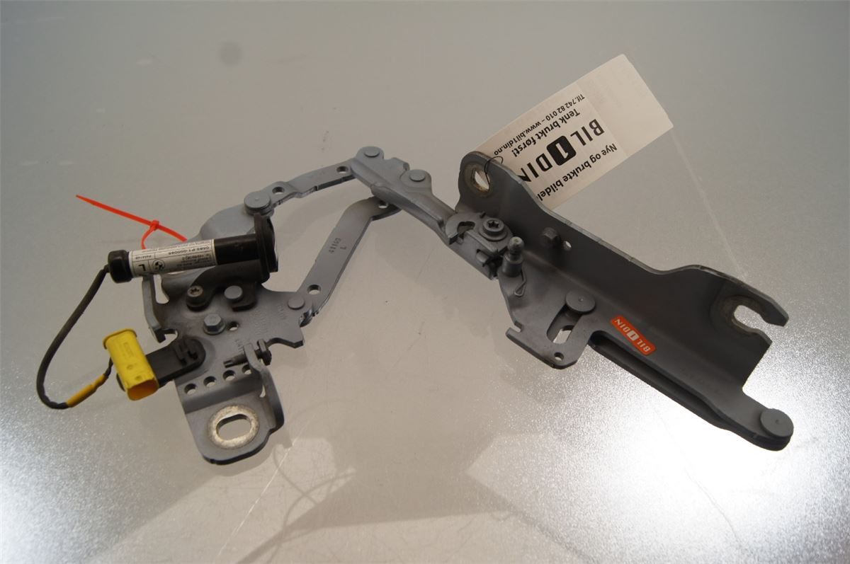 Panser Hengsel / Hengsler – bilde 1