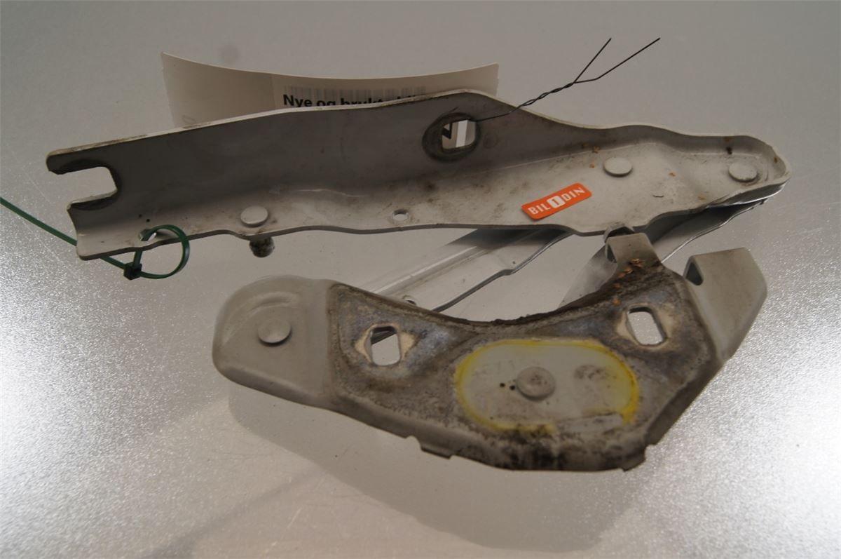 Panser Hengsel / Hengsler – bilde 1