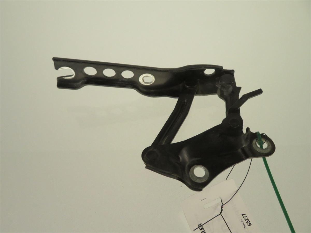 Panser Hengsel / Hengsler – bilde 2