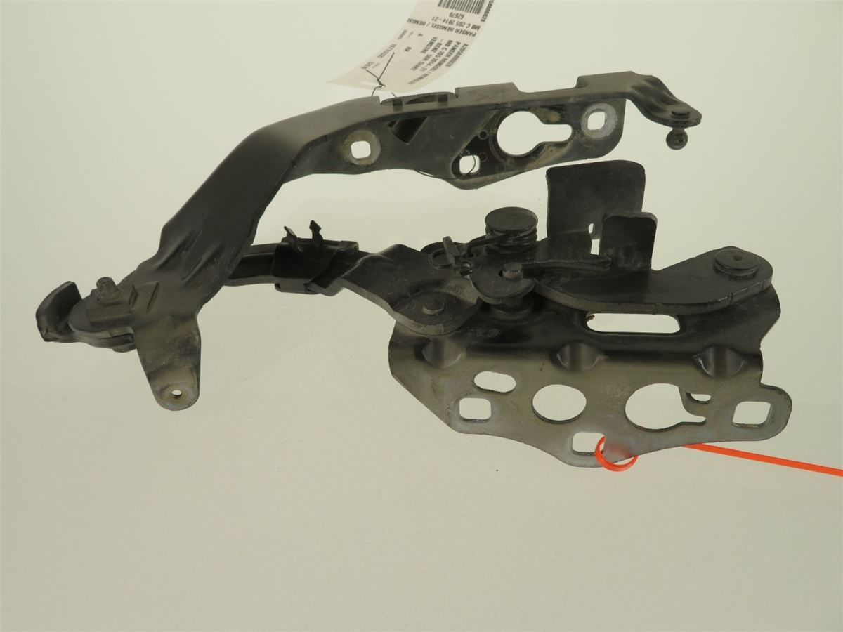 Panser Hengsel / Hengsler – bilde 2