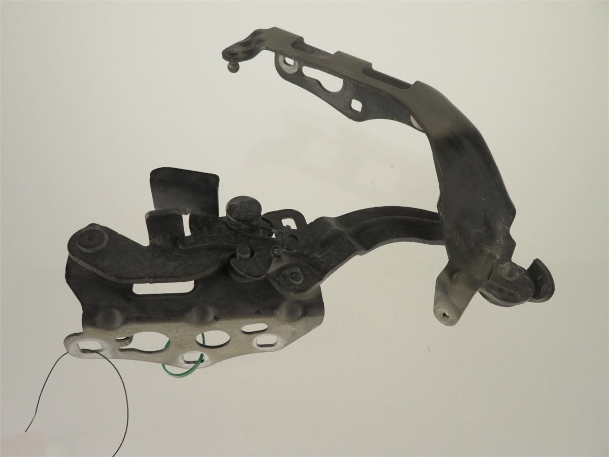 Panser Hengsel / Hengsler – bilde 1