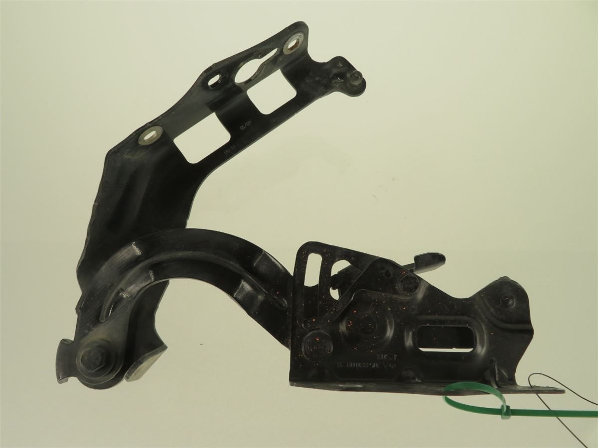 Panser Hengsel / Hengsler – bilde 2