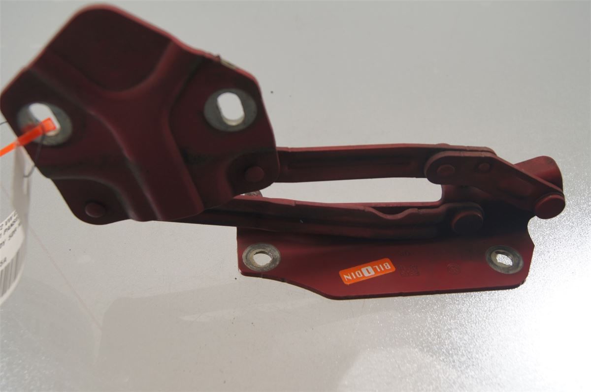 Panser Hengsel / Hengsler – bilde 1