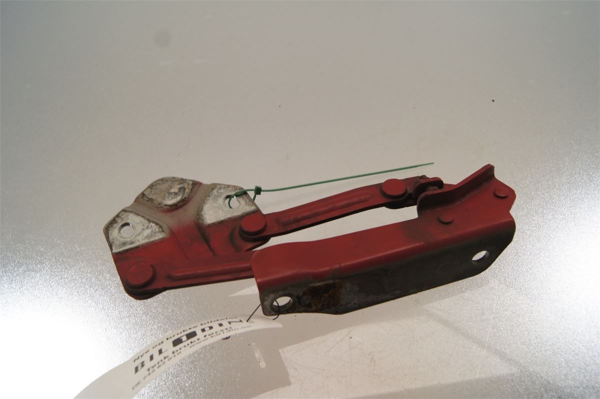 Panser Hengsel / Hengsler – bilde 2
