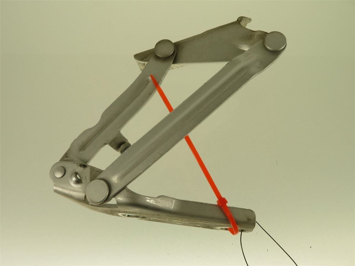 Panser Hengsel / Hengsler – bilde 3
