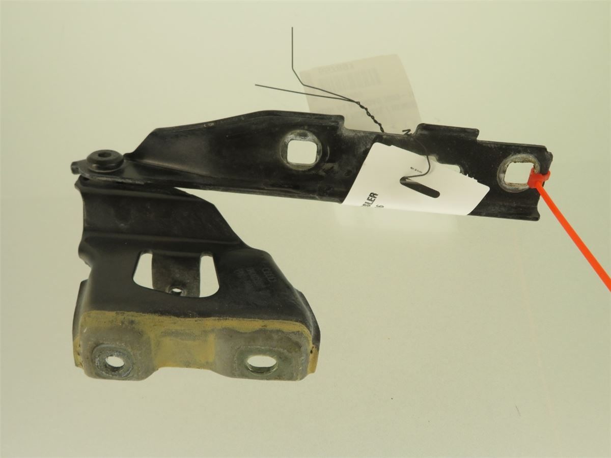 Panser Hengsel / Hengsler – bilde 1
