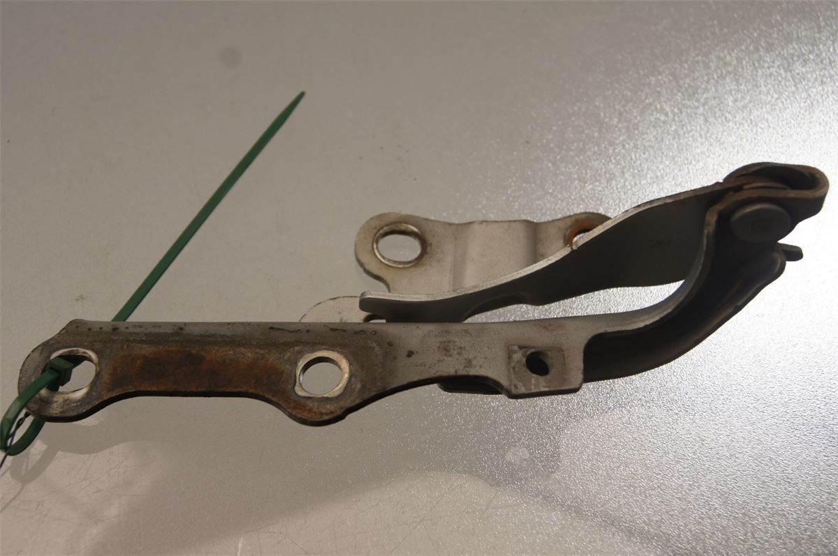 Panser Hengsel / Hengsler – bilde 1