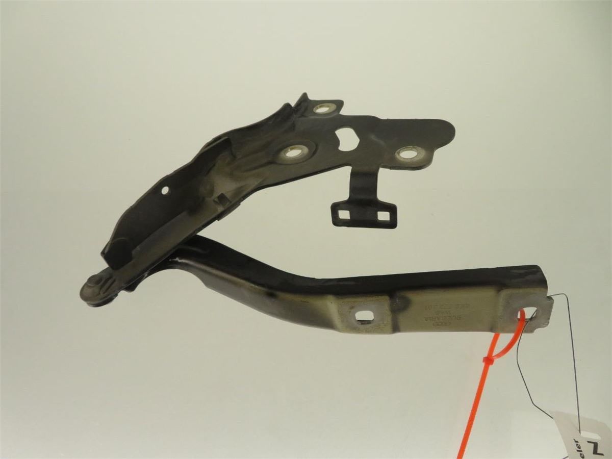 Panser Hengsel / Hengsler – bilde 1