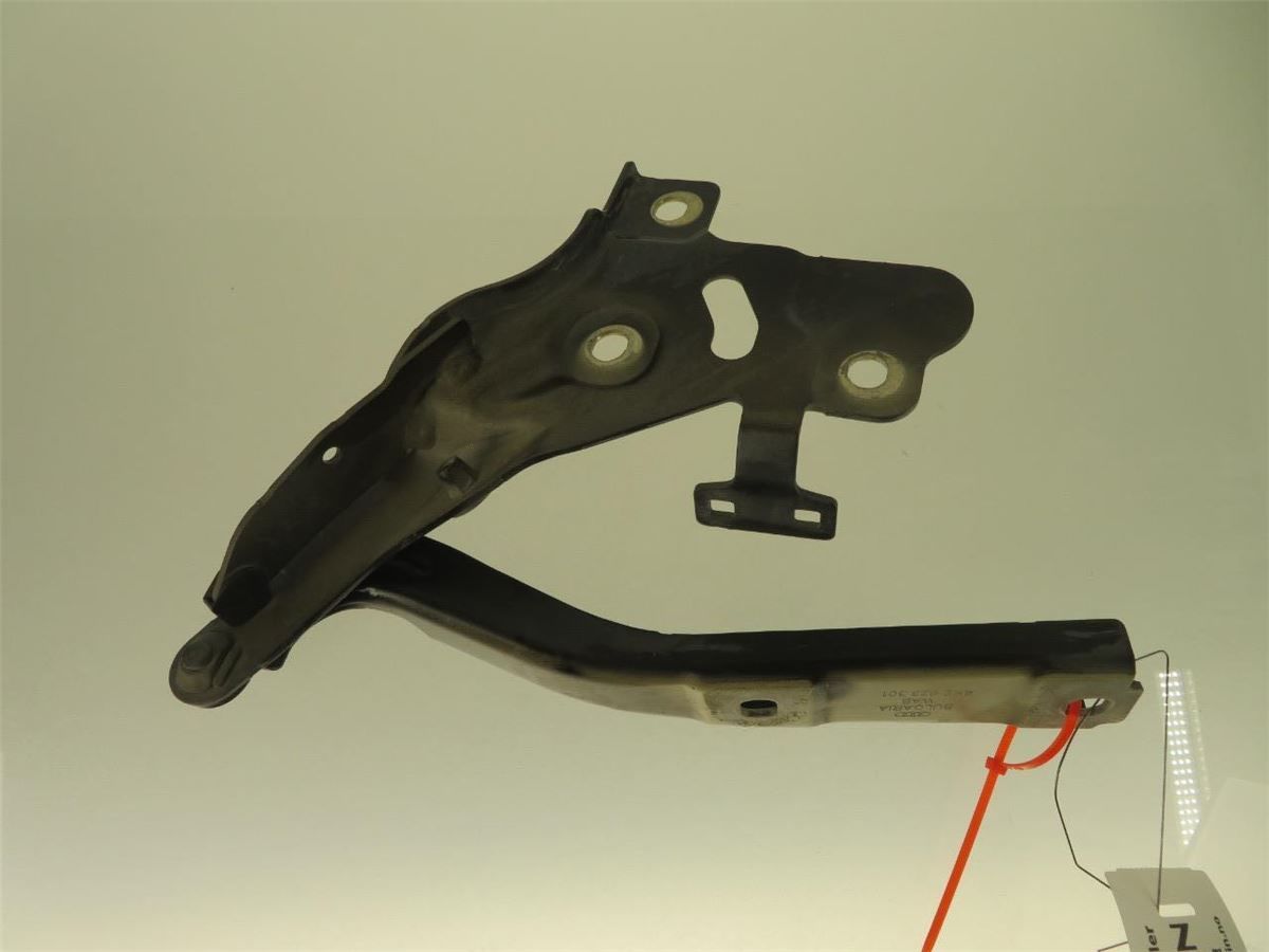 Panser Hengsel / Hengsler – bilde 2