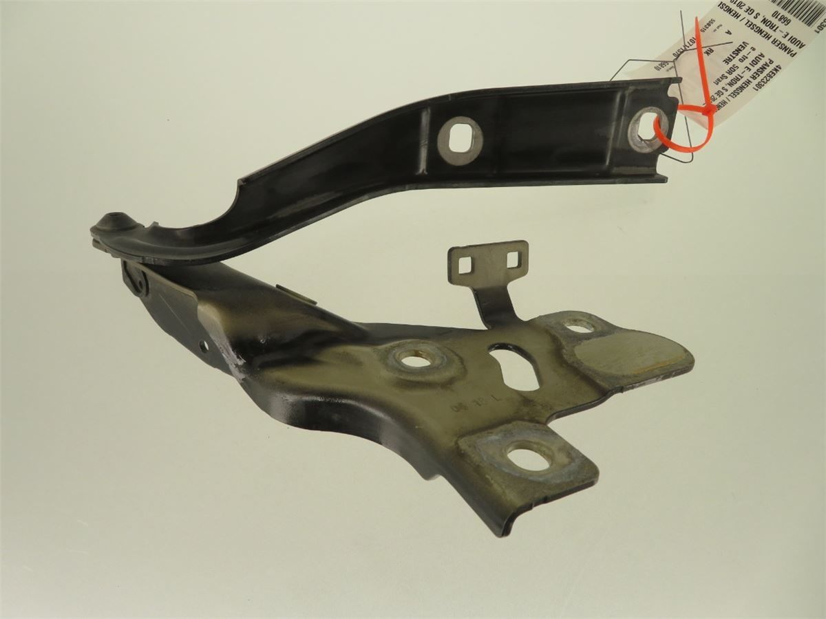 Panser Hengsel / Hengsler – bilde 4
