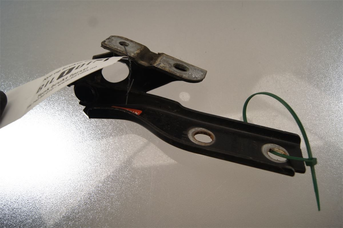 Panser Hengsel / Hengsler – bilde 1
