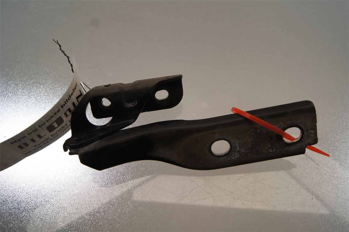 Panser Hengsel / Hengsler – bilde 2
