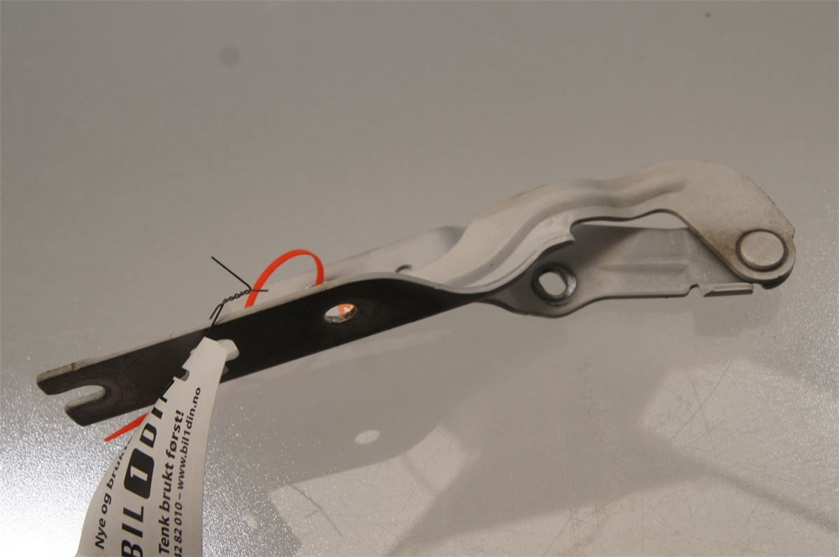 Panser Hengsel / Hengsler – bilde 1
