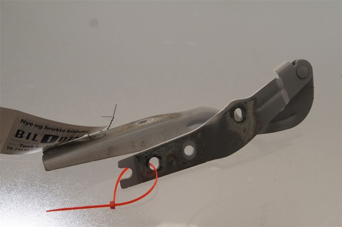 Panser Hengsel / Hengsler – bilde 2