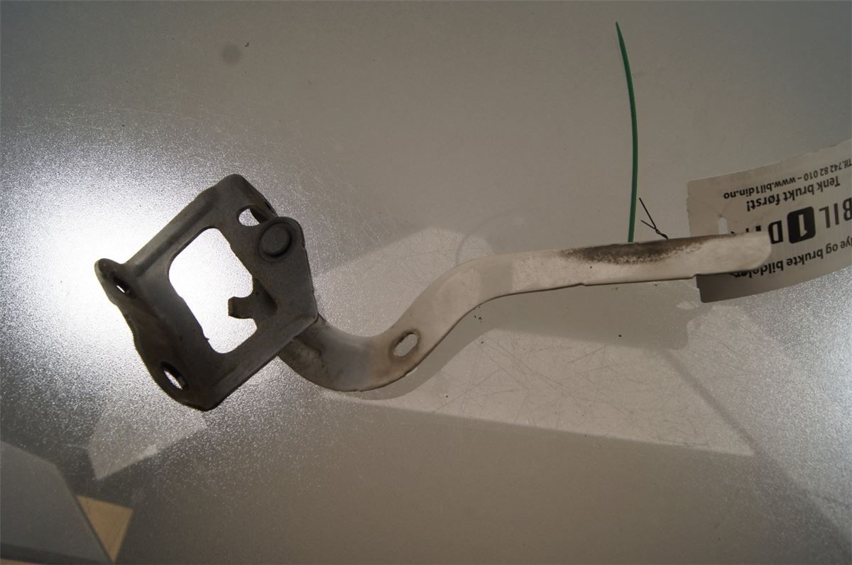 Panser Hengsel / Hengsler – bilde 1