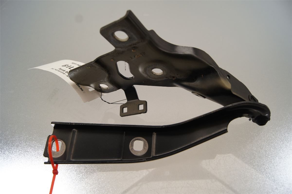 Panser Hengsel / Hengsler – bilde 2