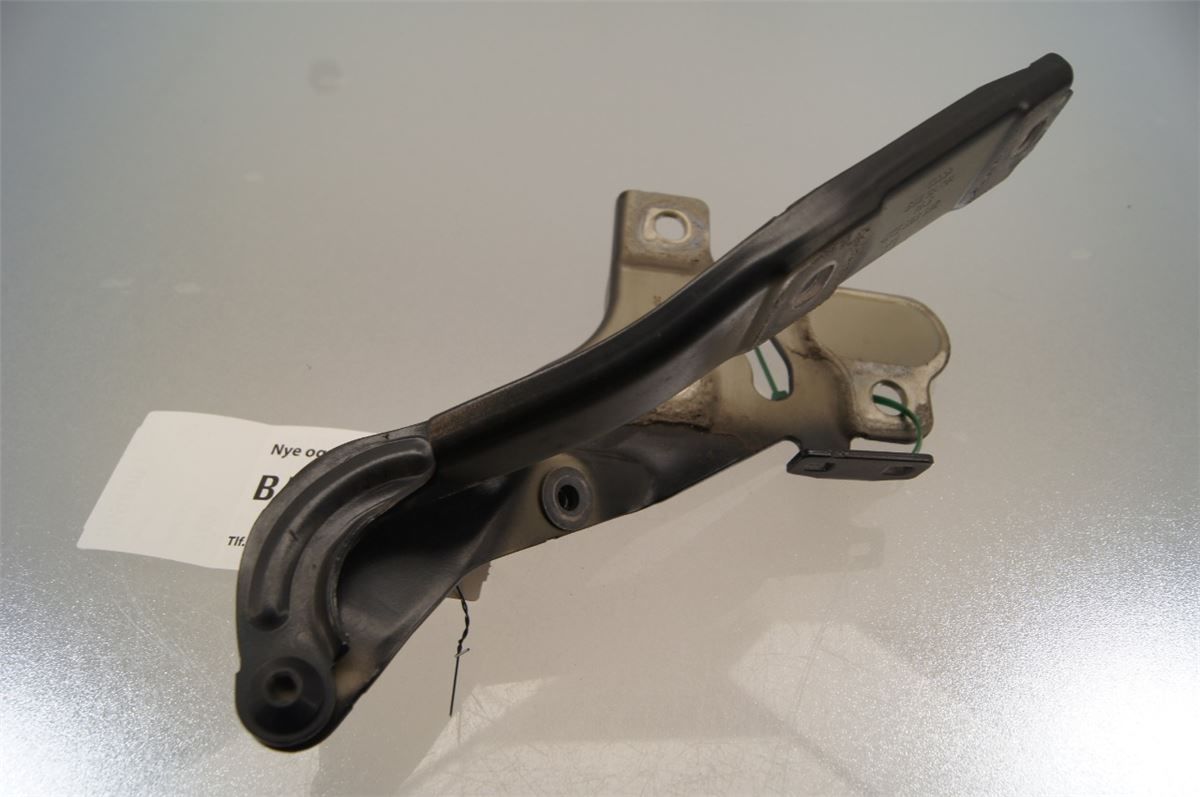 Panser Hengsel / Hengsler – bilde 2