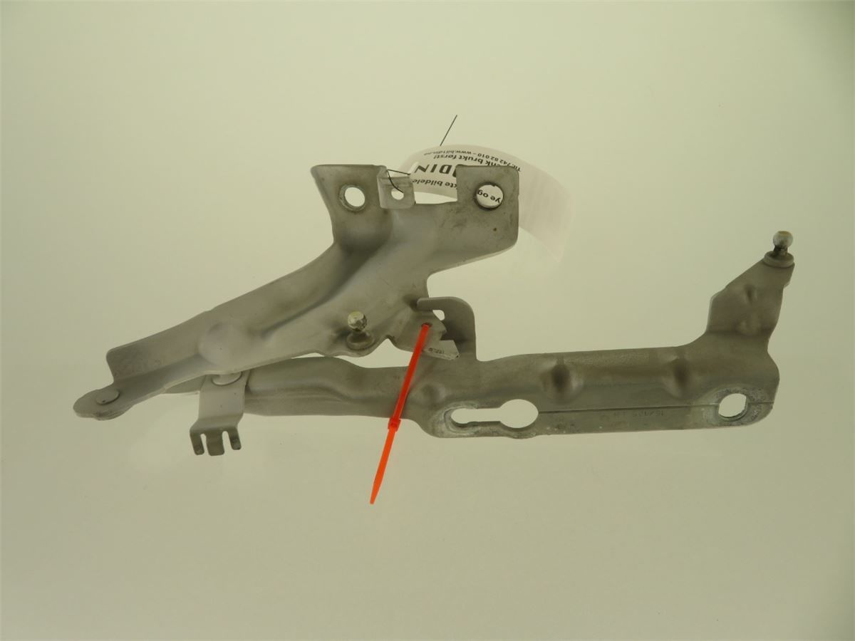 Panser Hengsel / Hengsler – bilde 2