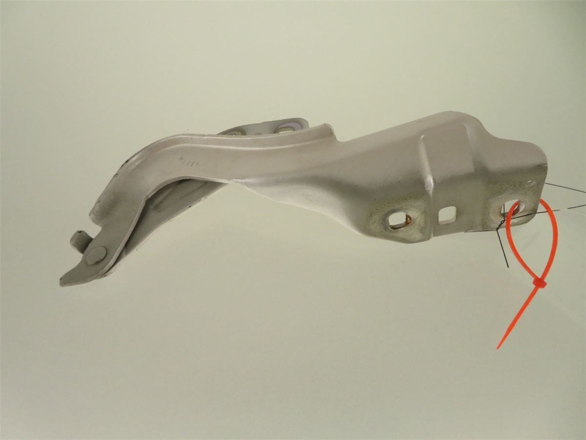 Panser Hengsel / Hengsler – bilde 2