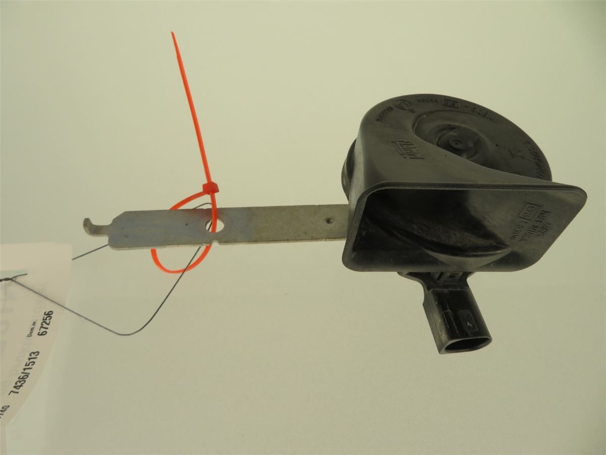 Signalhorn – bilde 1