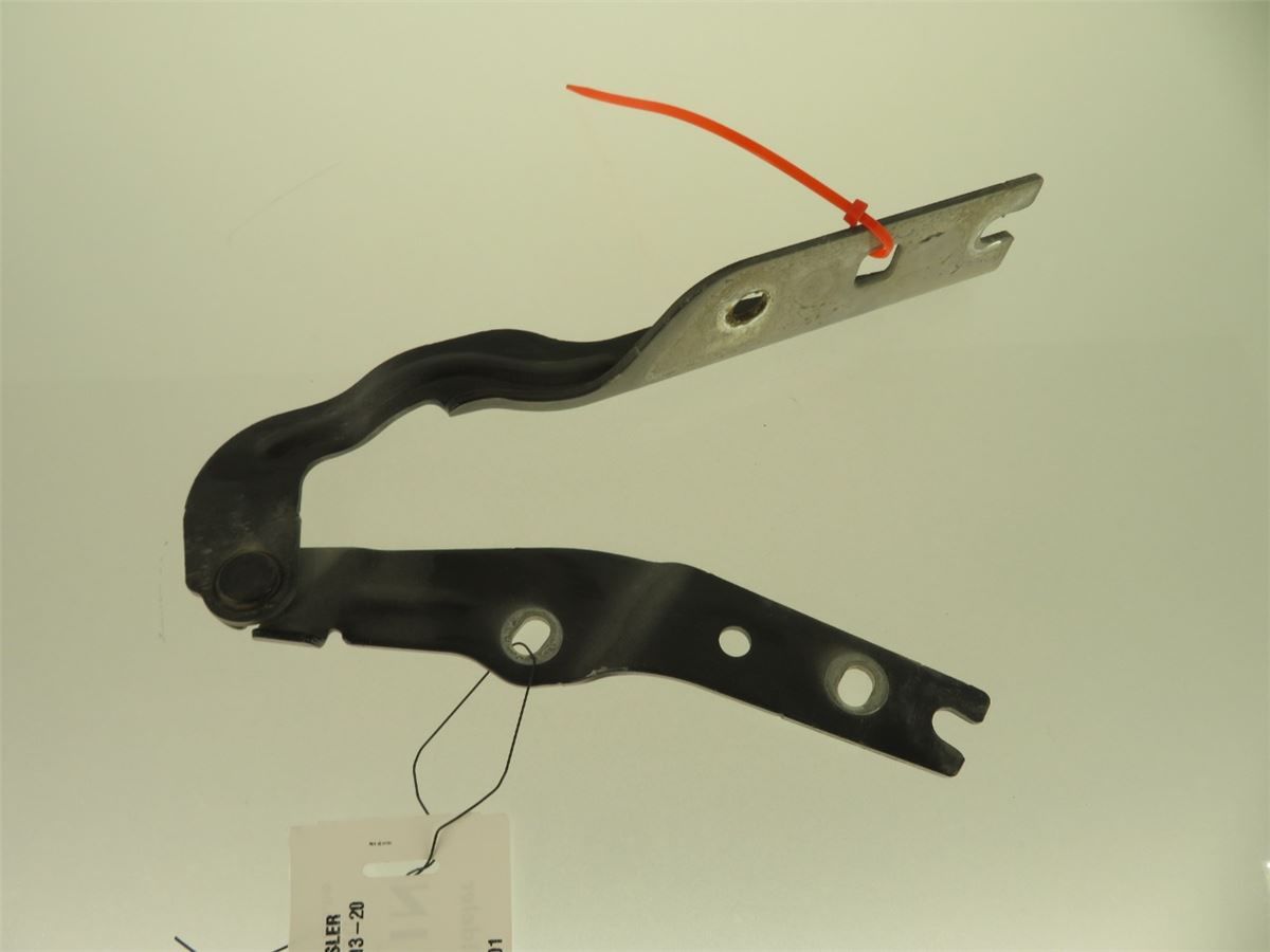 Panser Hengsel / Hengsler – bilde 1