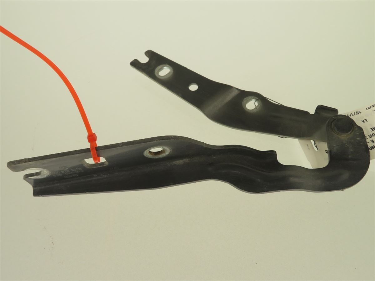 Panser Hengsel / Hengsler – bilde 3