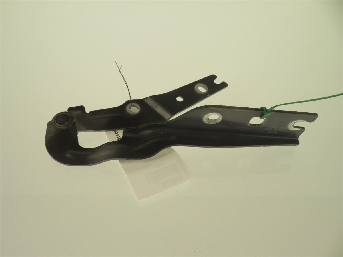 Panser Hengsel / Hengsler – bilde 1
