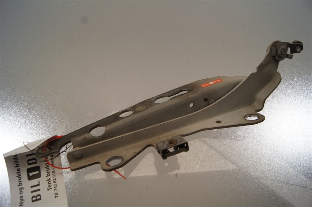 Panser Hengsel / Hengsler – bilde 2