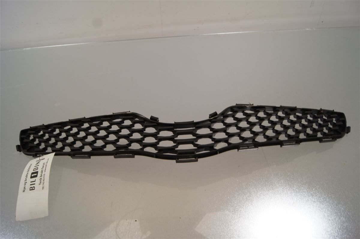 Grill / Gitter – bilde 1