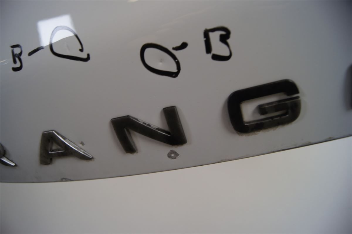 Panser – bilde 5