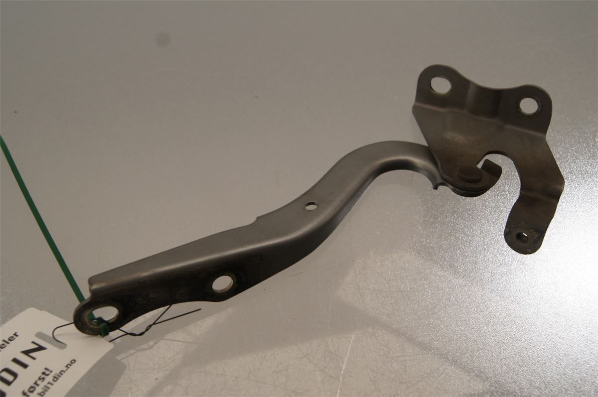 Panser Hengsel / Hengsler – bilde 2