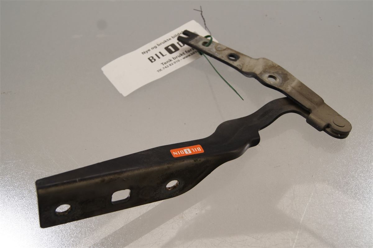 Panser Hengsel / Hengsler – bilde 1