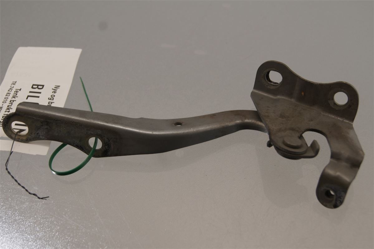 Panser Hengsel / Hengsler – bilde 2