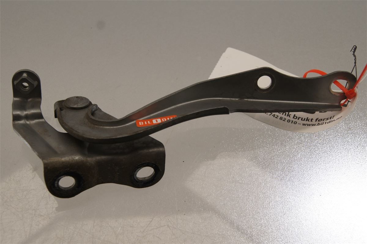 Panser Hengsel / Hengsler – bilde 1