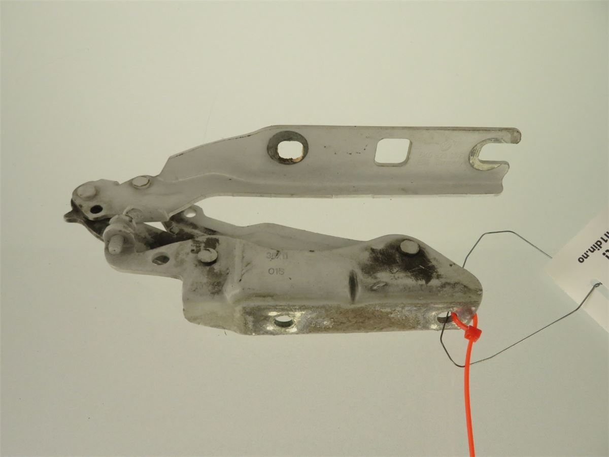 Panser Hengsel / Hengsler – bilde 2