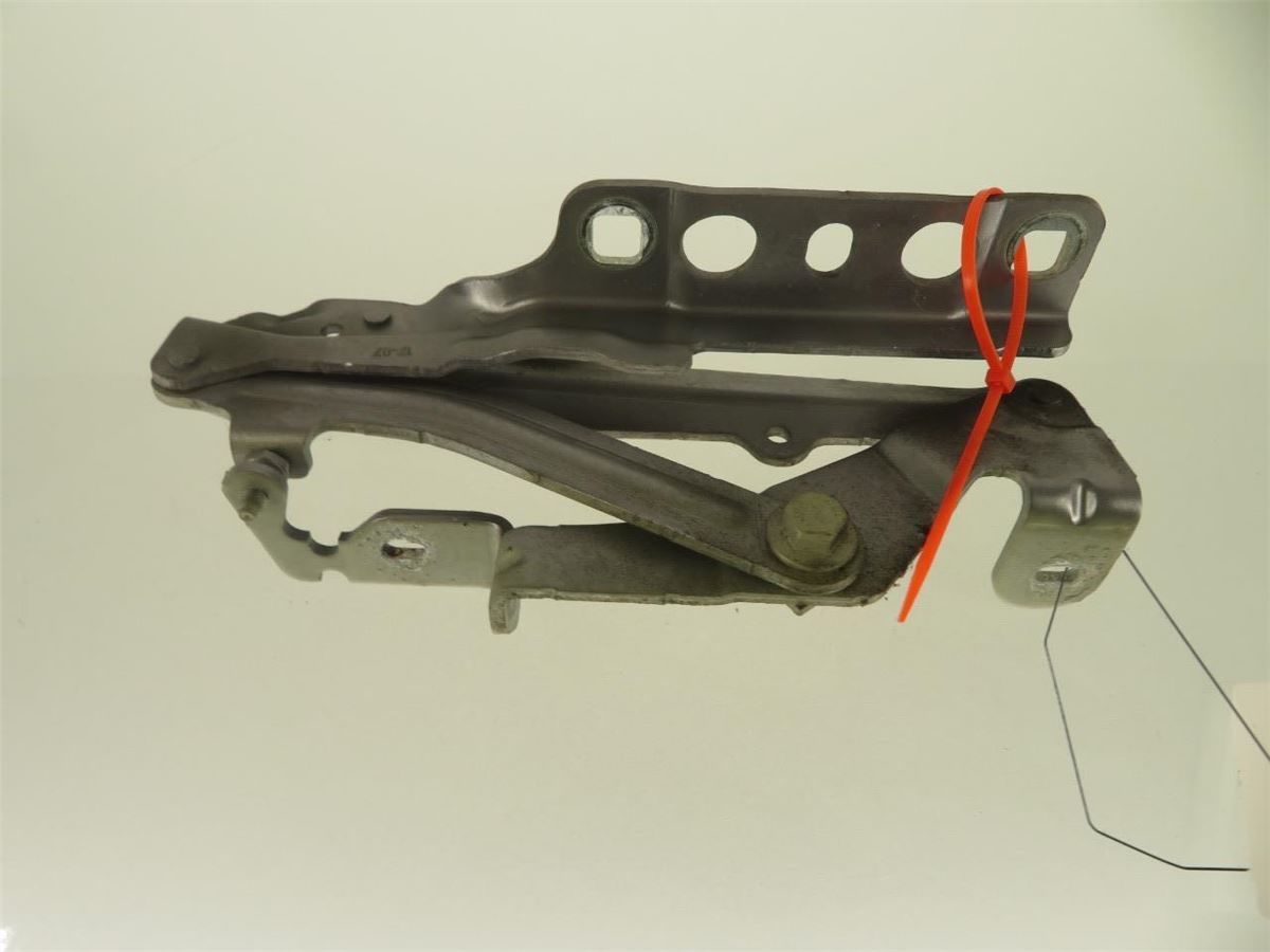 Panser Hengsel / Hengsler – bilde 1