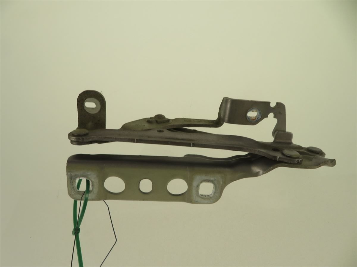 Panser Hengsel / Hengsler – bilde 2