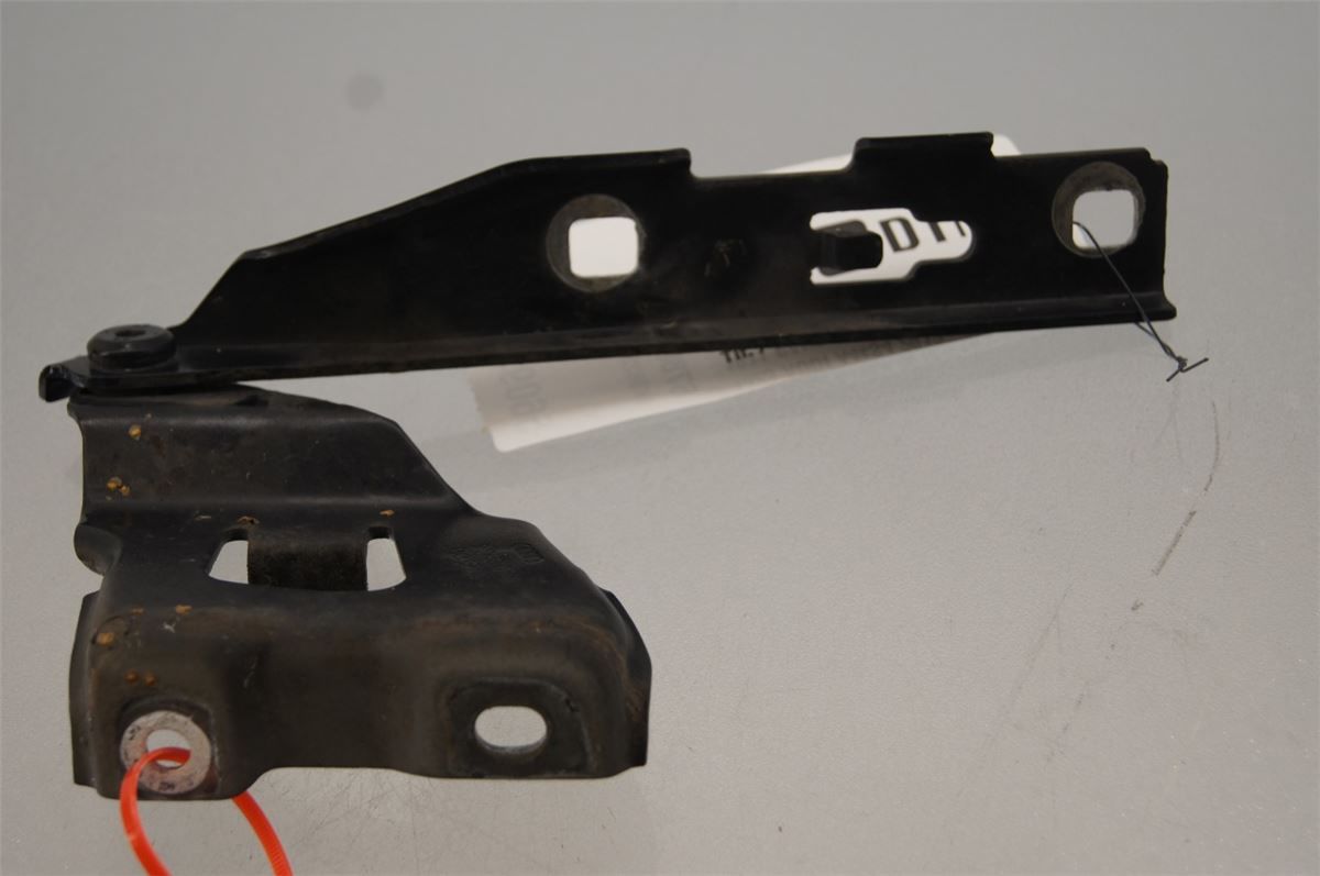 Panser Hengsel / Hengsler – bilde 1