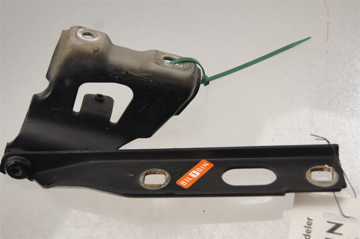 Panser Hengsel / Hengsler – bilde 3
