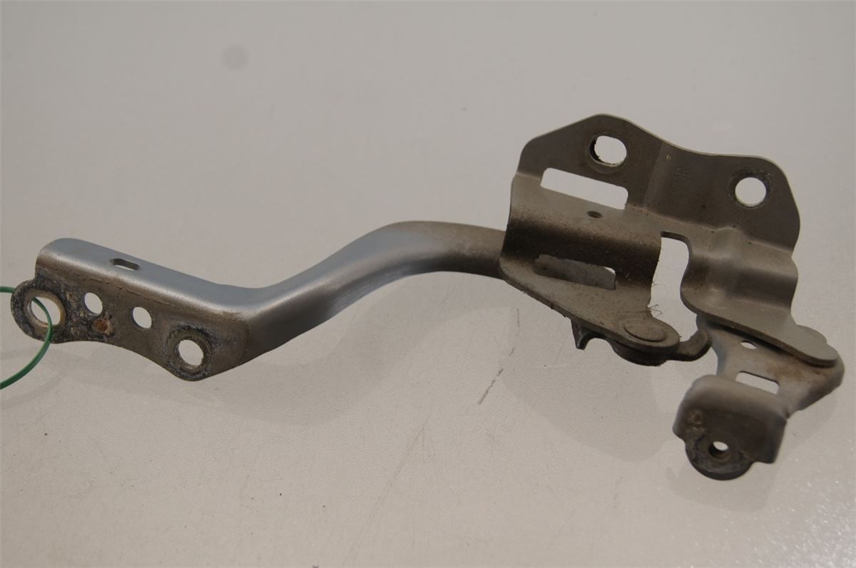 Panser Hengsel / Hengsler – bilde 1