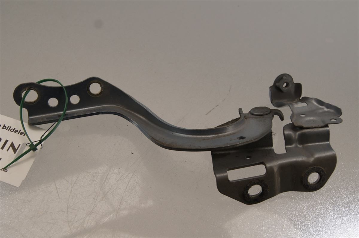 Panser Hengsel / Hengsler – bilde 3