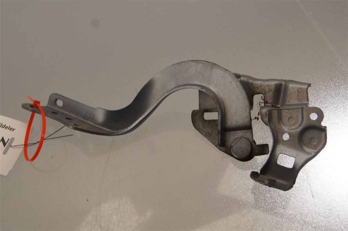 Panser Hengsel / Hengsler – bilde 1