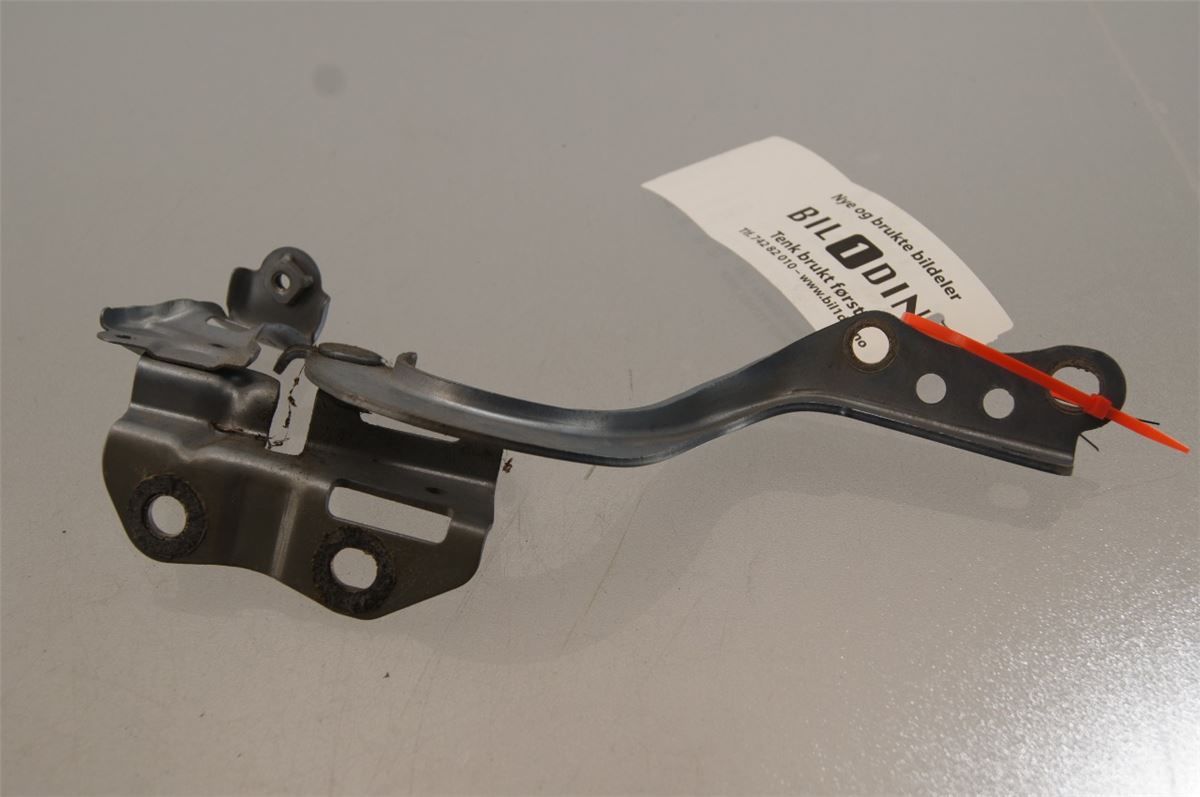 Panser Hengsel / Hengsler – bilde 2