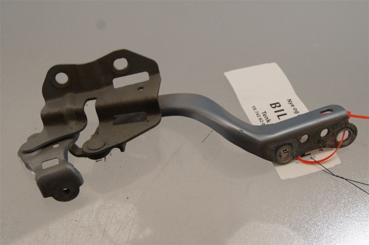 Panser Hengsel / Hengsler – bilde 3