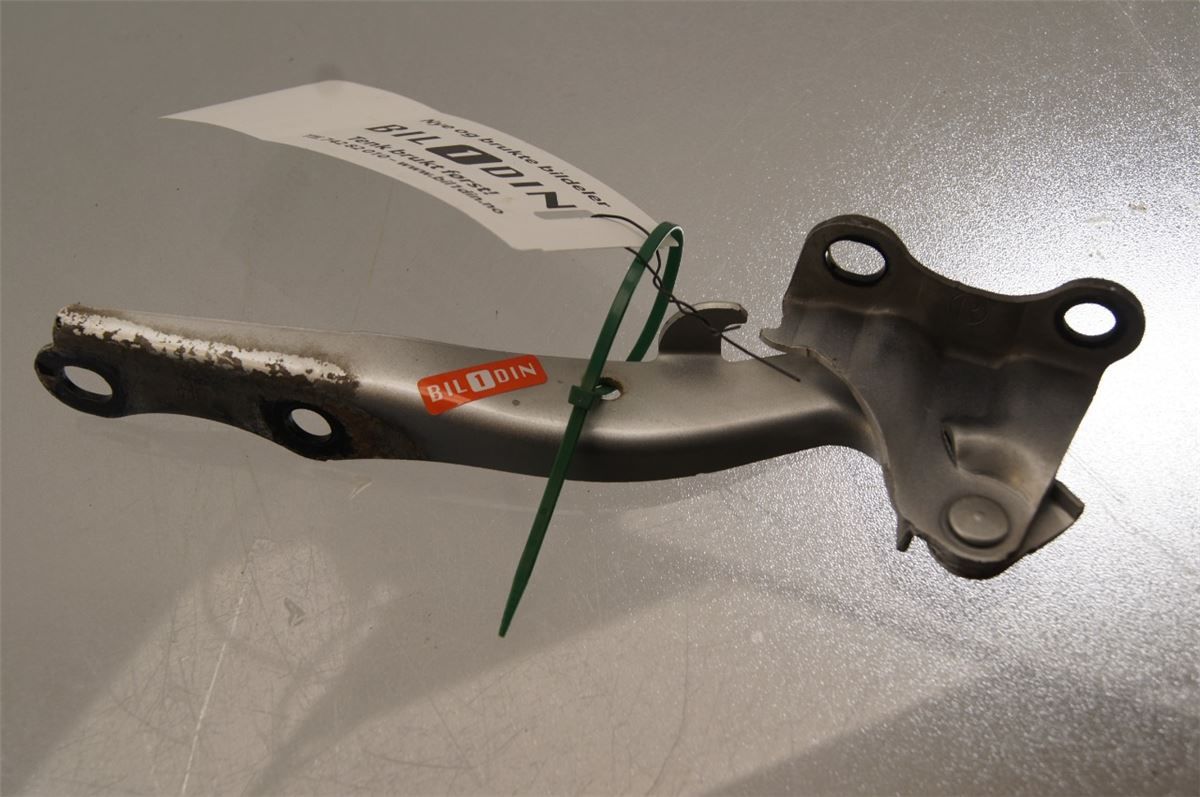 Panser Hengsel / Hengsler – bilde 3
