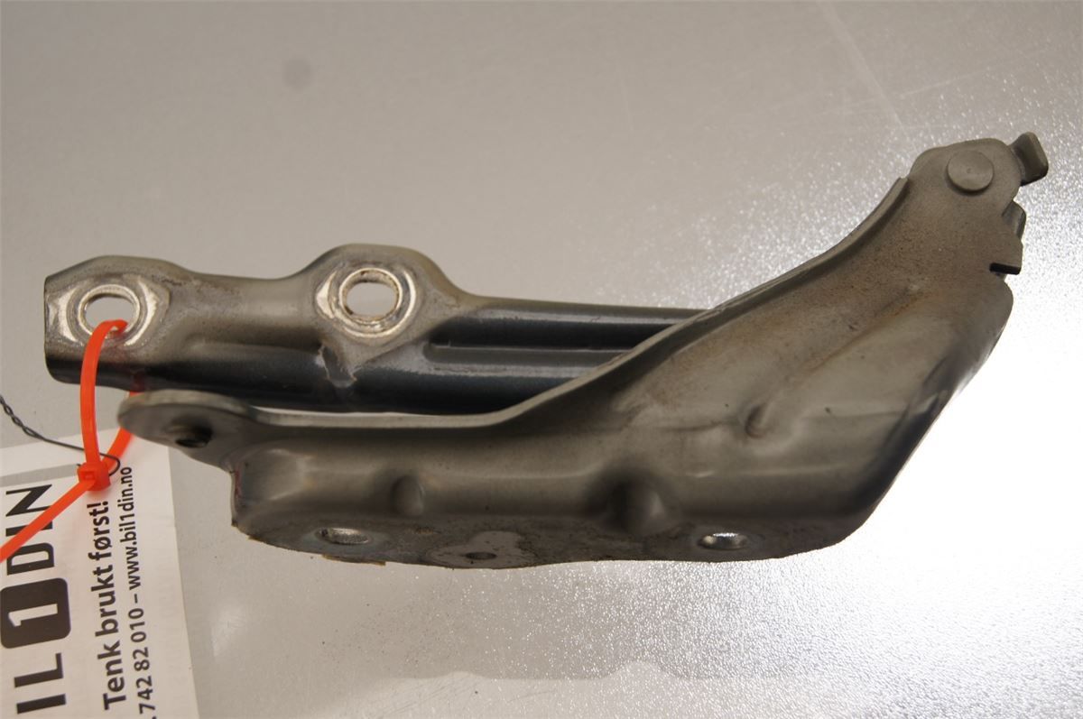 Panser Hengsel / Hengsler – bilde 1