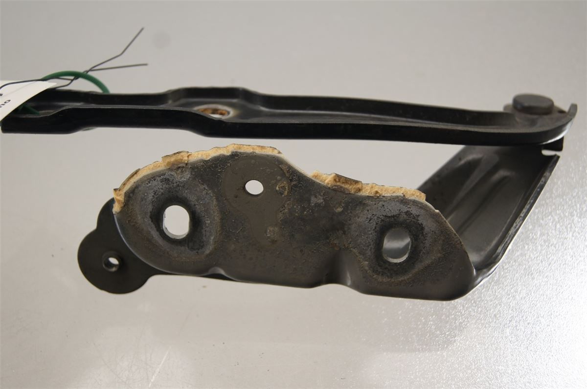 Panser Hengsel / Hengsler – bilde 2