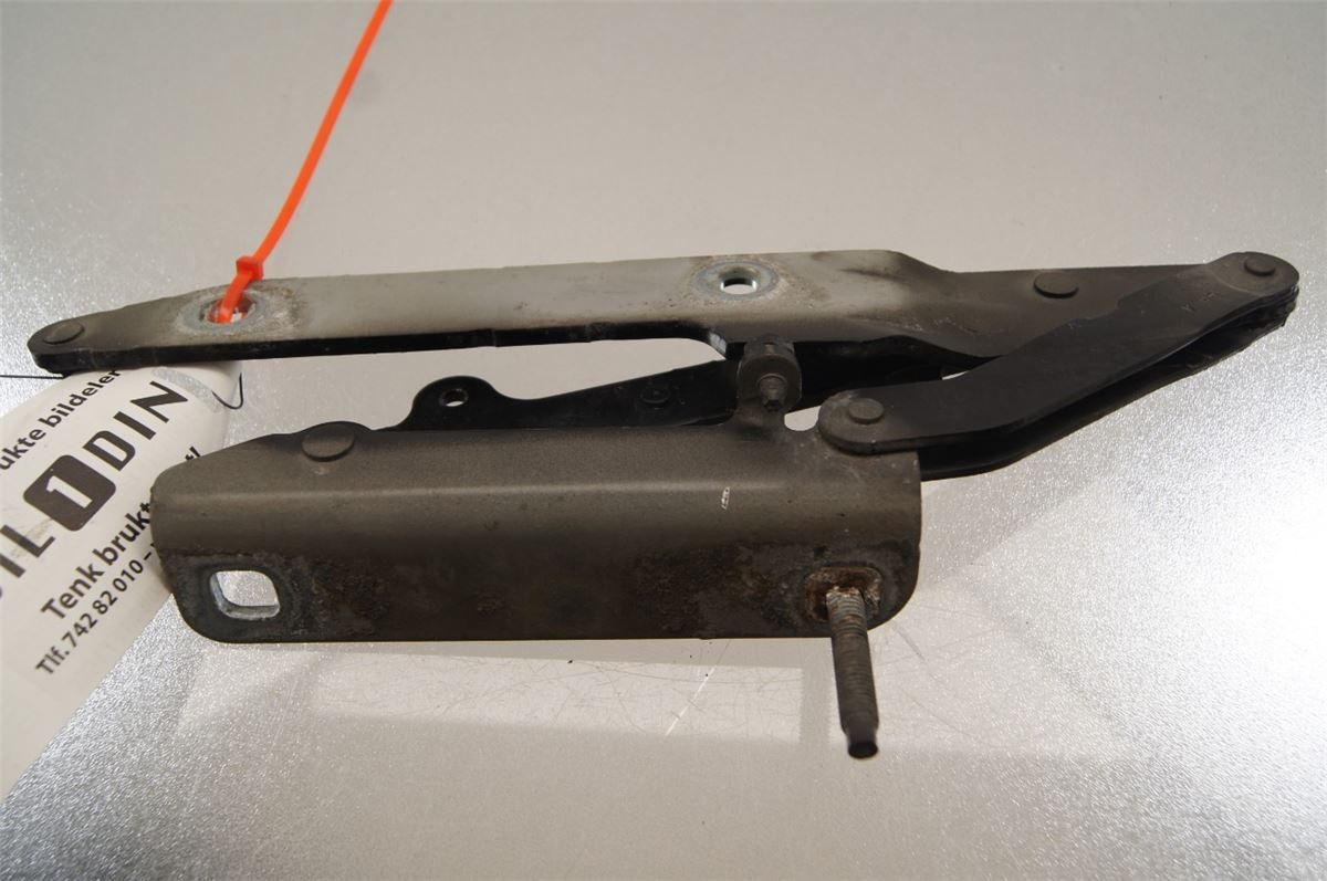 Panser Hengsel / Hengsler – bilde 2