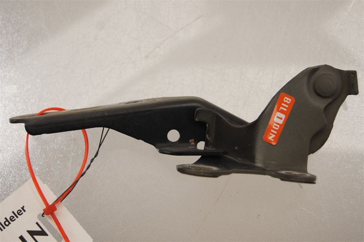 Panser Hengsel / Hengsler – bilde 1